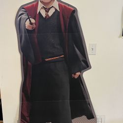 Harry Potter party Decorations
