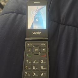 Flip phone
