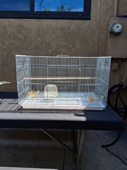 Bird cage