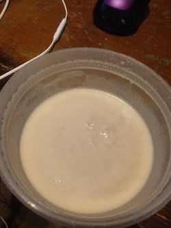 Microworm culture fry food for your baby fish