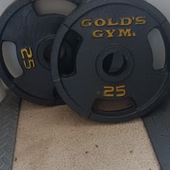 Two Gold Gym 25lbs Weight Plates