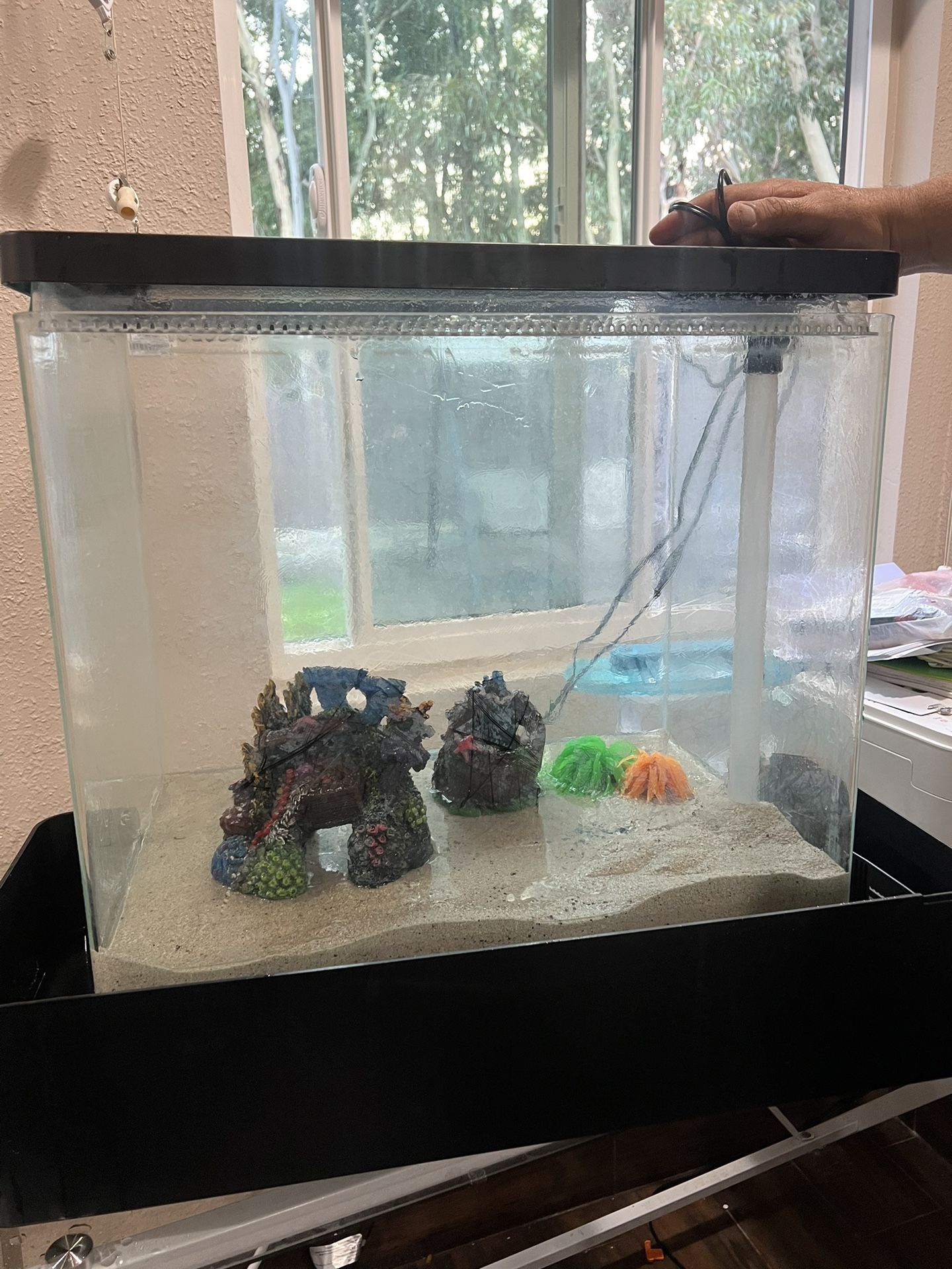 25 Gallon Tank