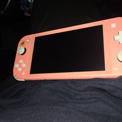 Nintendo Lite Animals Crossing Edition 