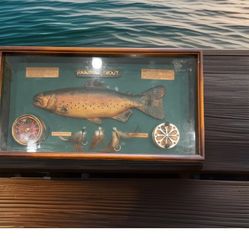 Rainbow Trout Shadowbox Pfueger Taxi St.John Flywheel Replica Office Decor