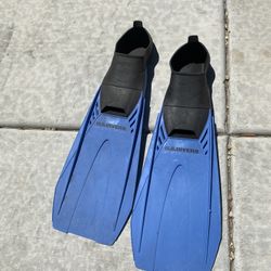 Fins