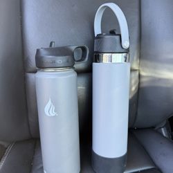 2 Insulated Tumblers