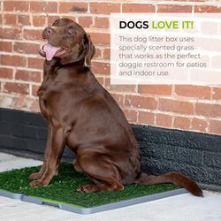NEW Grass Dog Pee Pads W/ Tray, 3 Layer Washable Pee Pads for Dogs - Dog Grass Pad !