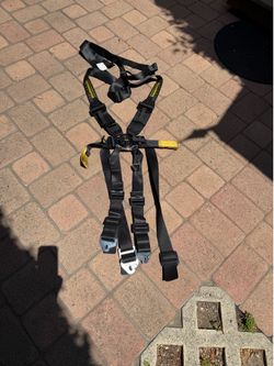 Schroth 6 point racing harness