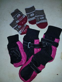 New puppy dog socks and booties for a winter