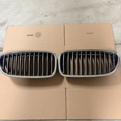 5 Series BMW OEM  BUMPER GRILLE