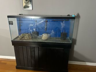 55 gal tank