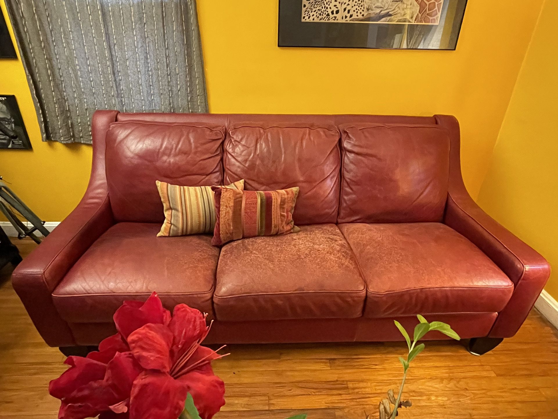 Brick Red Leather Couch