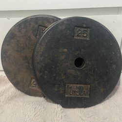 1’ Inch 25lb Weight Plates 
