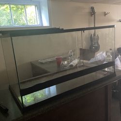 Reptile Tank