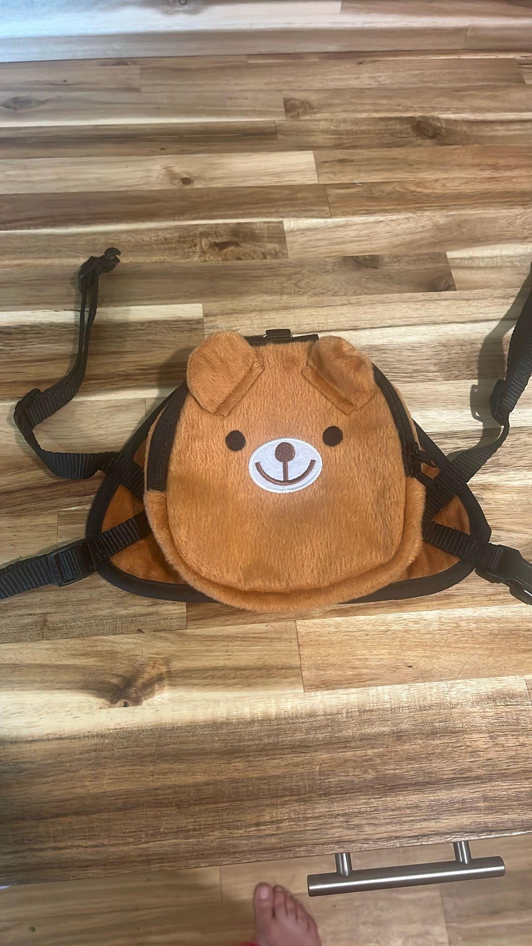 Pet Backpack