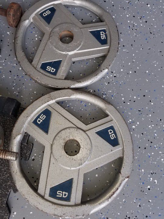 45lbs Weight plates 