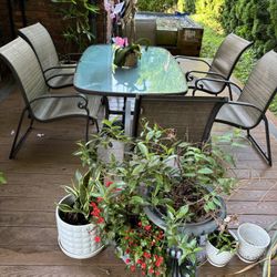 Outdoor Furniture