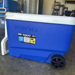 2 Igloo Coolers 