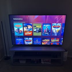 TV Entertainment System