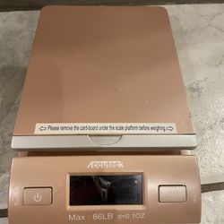 Digital scale