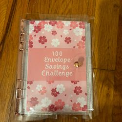 Savings Book 100 Days Challenge 
