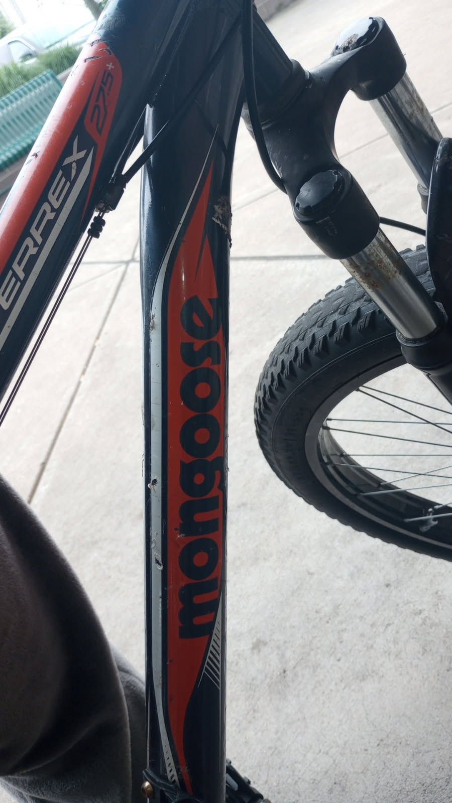 Fat Tire Mongoose Bike