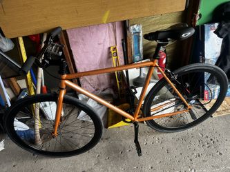 Fixie 54c