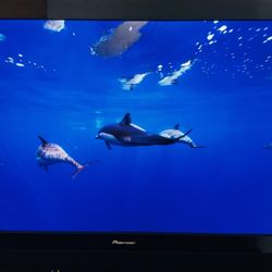 Pioneer Kuro 65-inch Plasma TV Bundle 