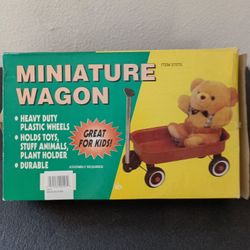 Miniature Wagon
