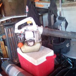 Echo Blower Gas