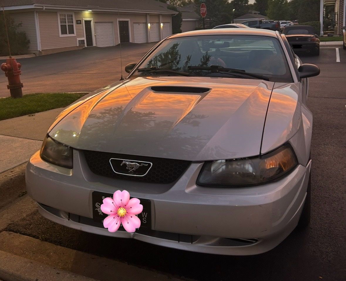 2002 Ford Mustang