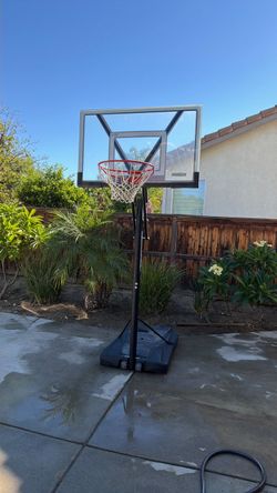 Lifetime portable basketball hood.