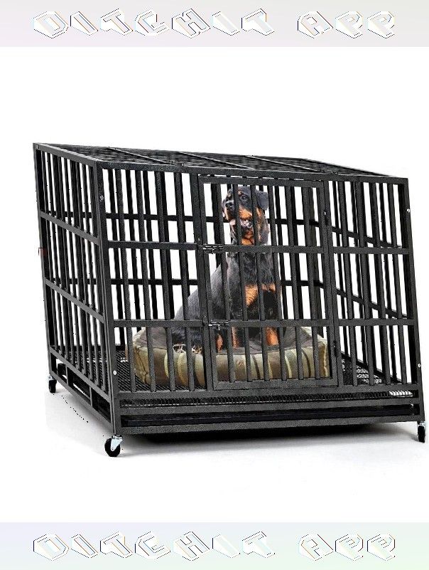 hospital many Strong Pet Cages - Safety and Coziness for Your Pet Pal