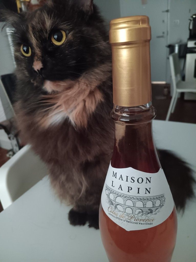 Wine - Rosè