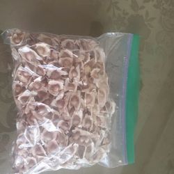Moringa Seeds
