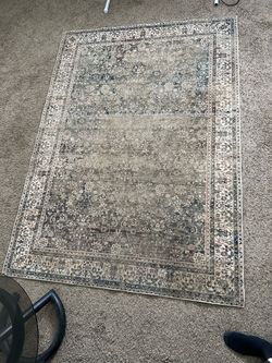 5x7 Area Rug Gray Beige Vintage Persian Style Floral Rug