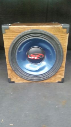 Big punch small package 500 watt 10 Inch punch car speaker