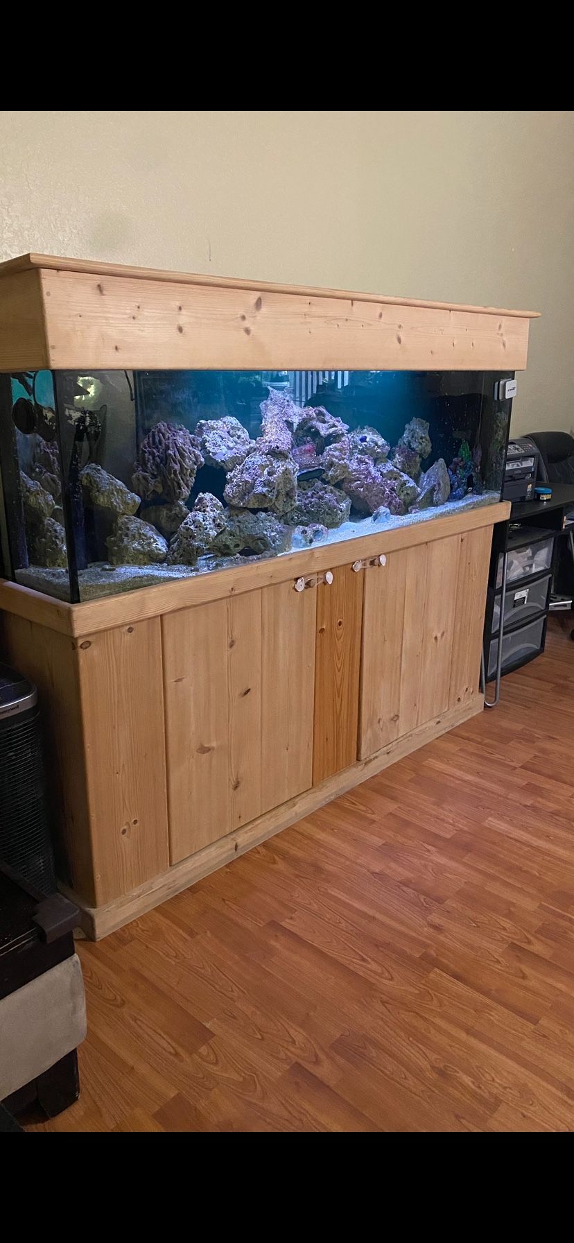 125 Gallon Salt Water Fish Tank