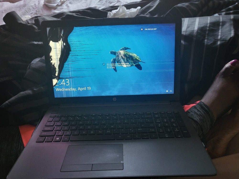 17 In Hp Laptop