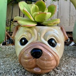 🐶 🔥 Dog Planter W Succulent 🌿🪴