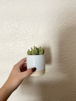 Small Artificial Succulent