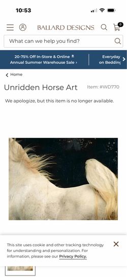2 Ballard Designs Horse paintings