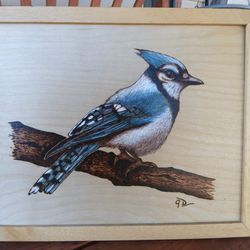 Wood Burned Blue Jay With Ink