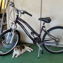 Schwinn Bike Men or woman’s 28 inch wheel 21 speed bike
