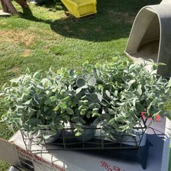 Artificial Decor In Galvanized  Tubs   Very Nice Looks Real 