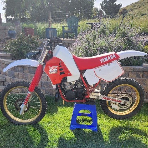 1986 yamaha yz250 for sale