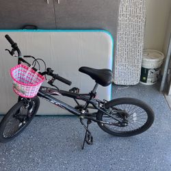 20 Inch Bicycle Good Condition-$40