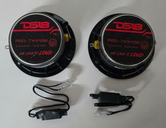 DS18 Speaker PRO-TWX1-BK