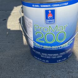 1 Gallon Interior Eggshell Paint