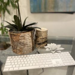 Magic Apple Wireless Keyboard Near New 